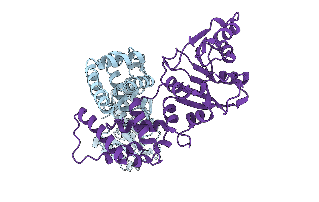 6W6C image