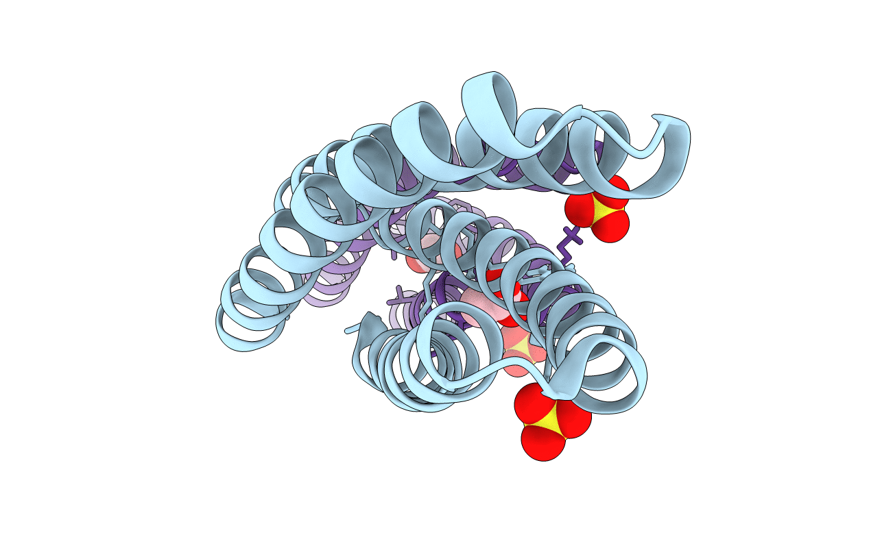 6W6X image