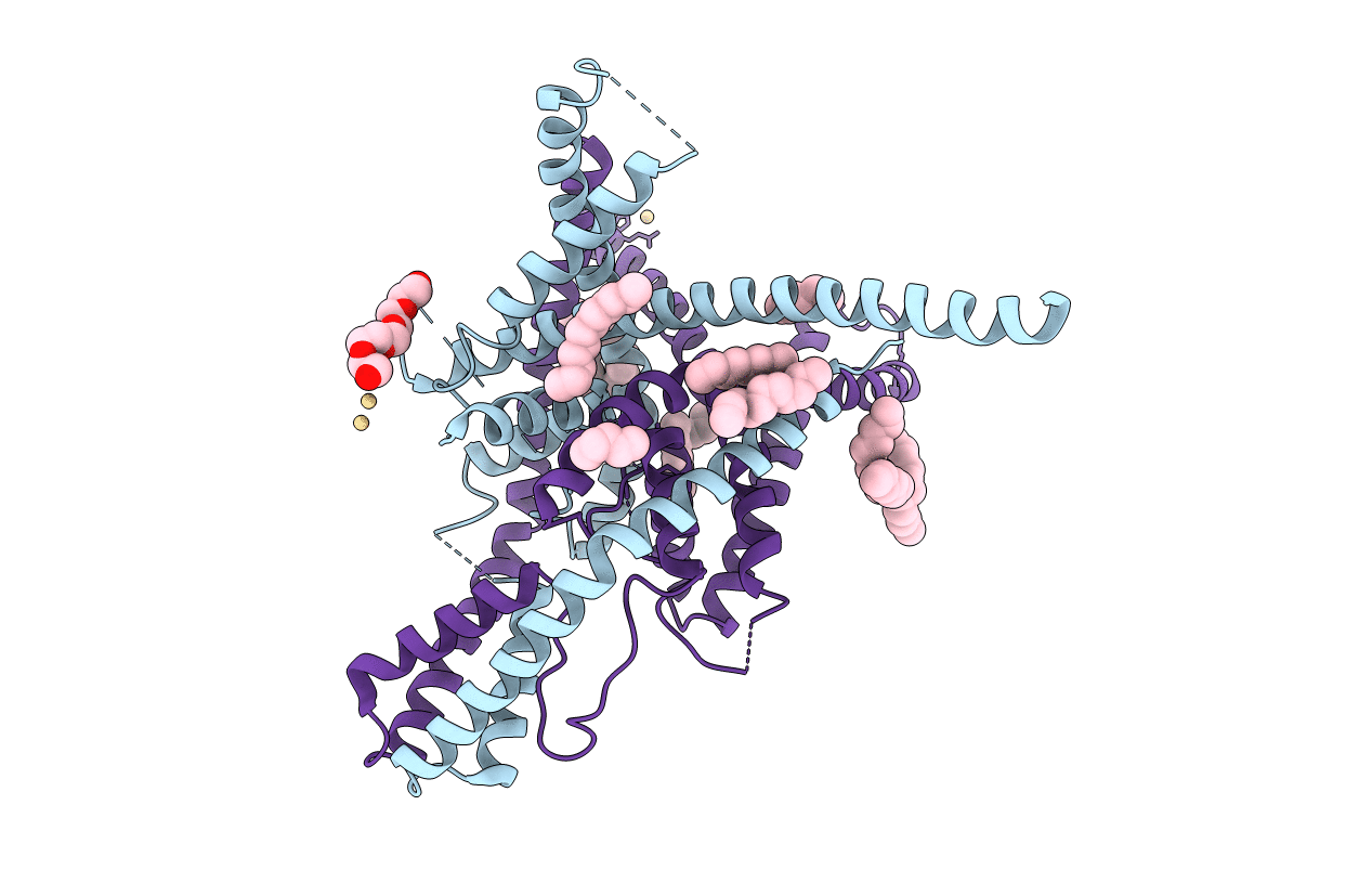 6W7D image