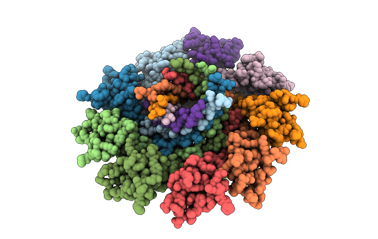6W7T image
