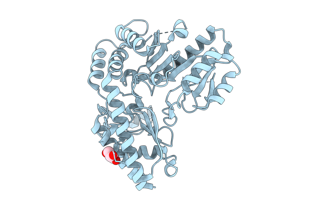 6W7X image