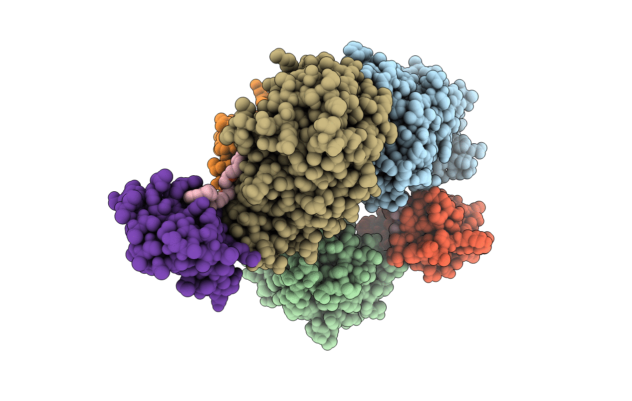 6W8I image