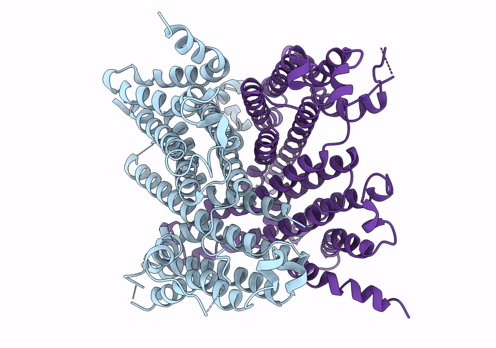 6W8O image