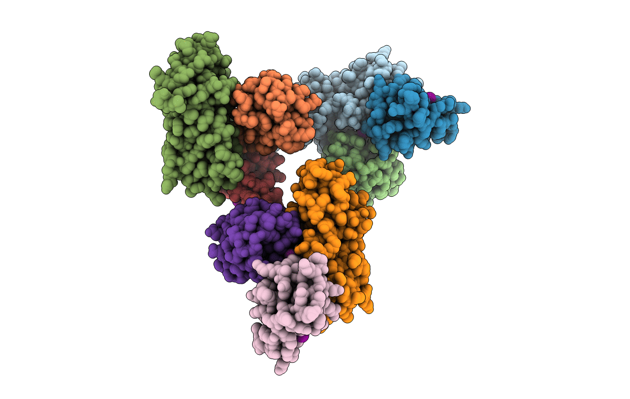 6W9D image