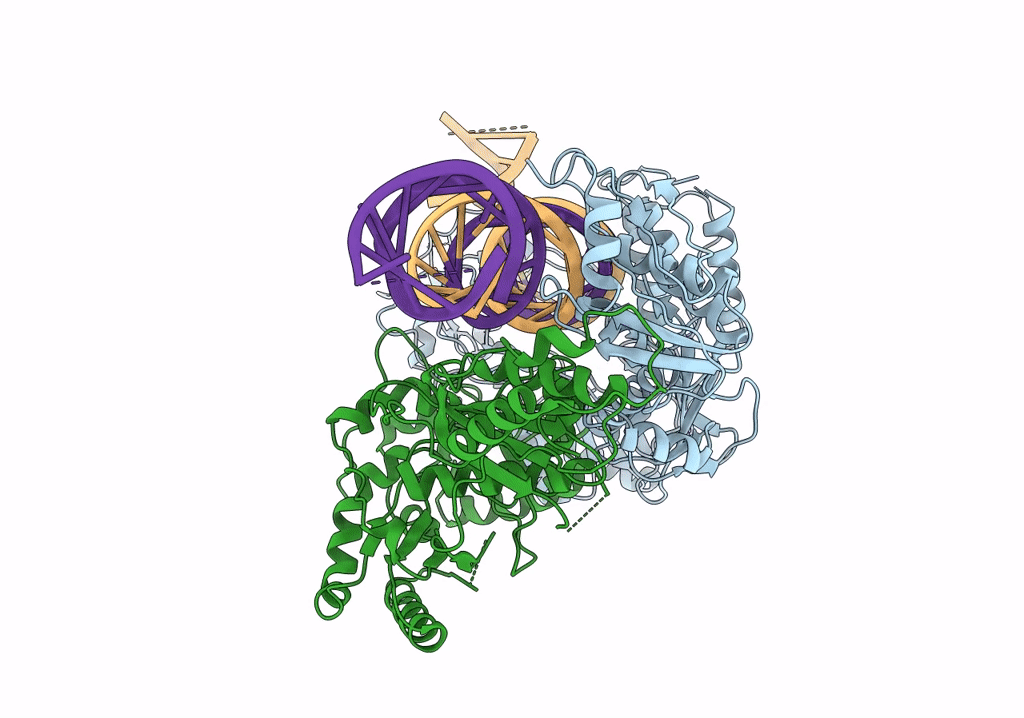 6WB2 image
