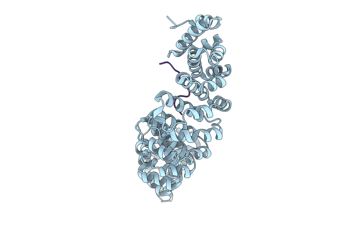6WBC image