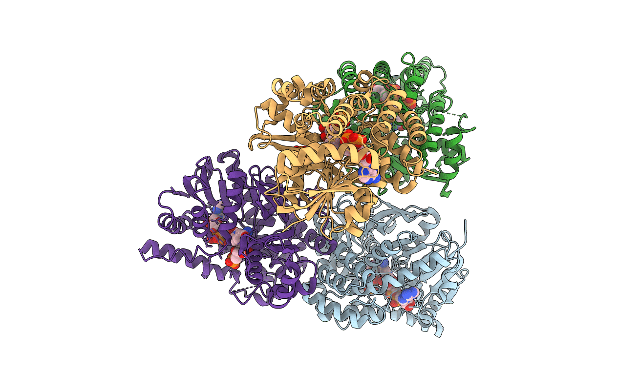 6WBT image
