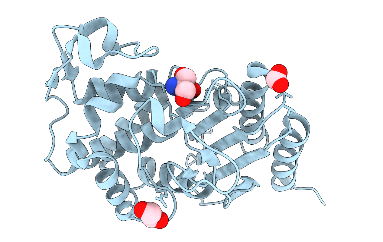 6WGP image