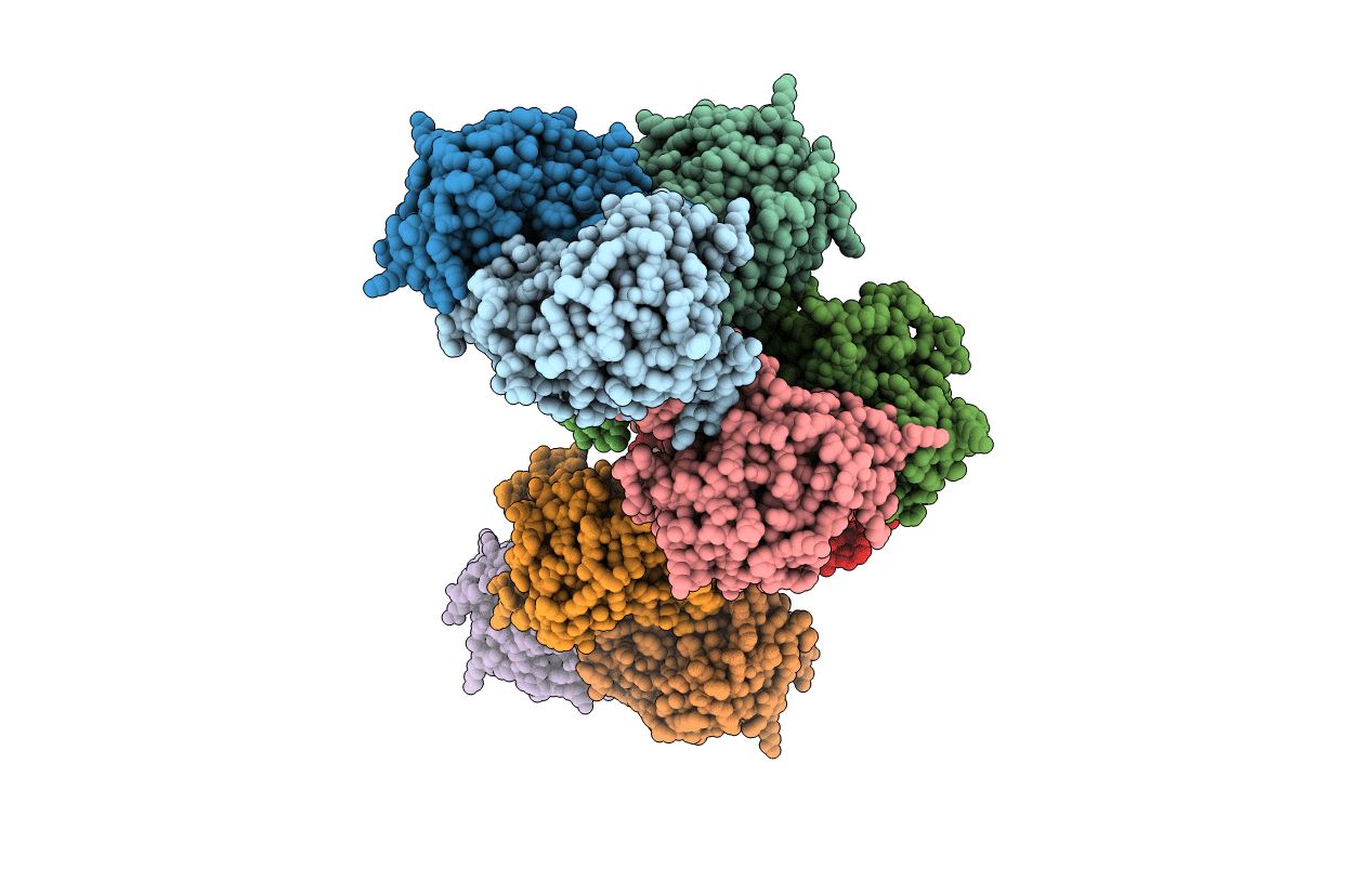 6WHL image