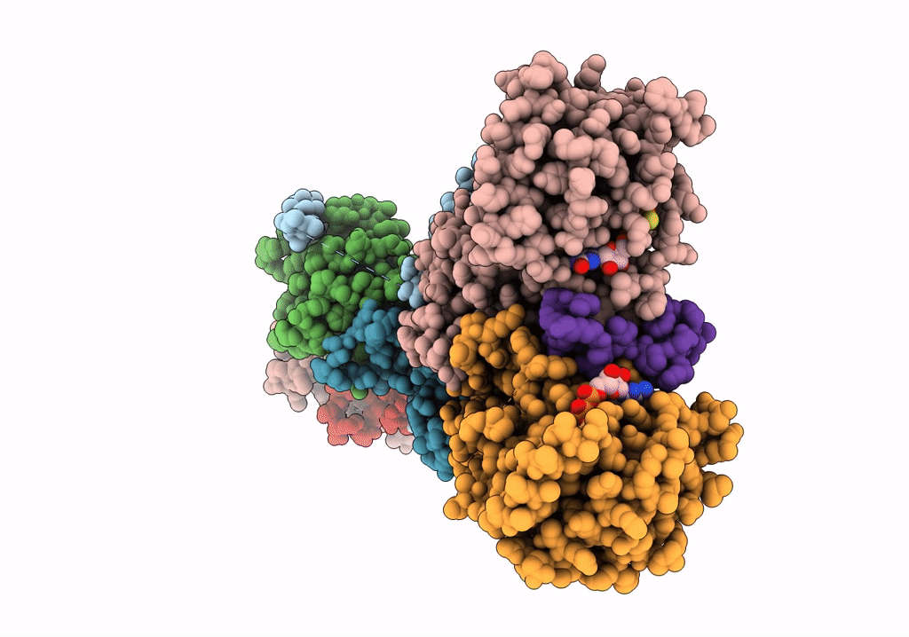 6WJ2 image