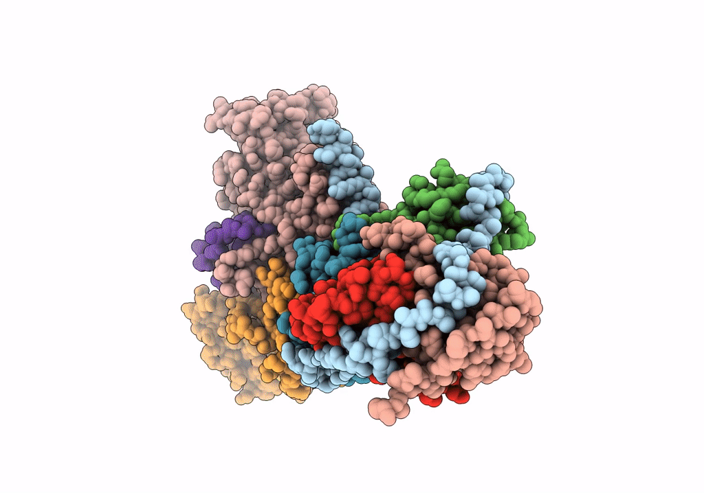 6WJ3 image