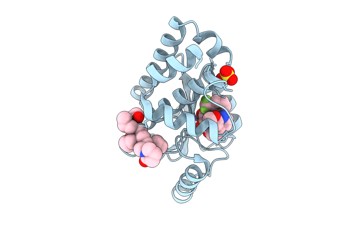 6WJ4 image