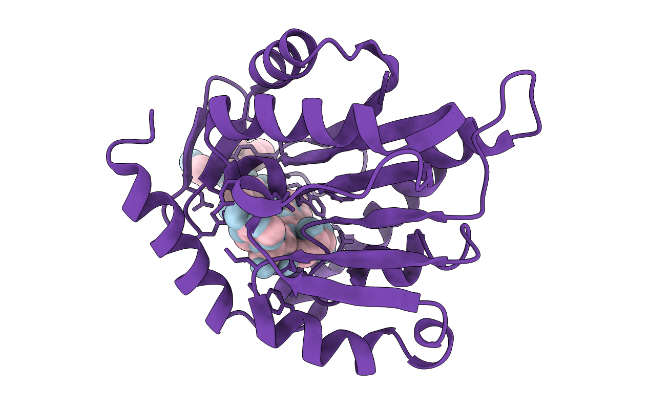 6WJ7 image