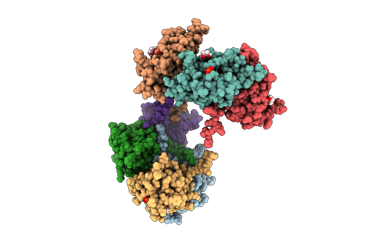6WLP image