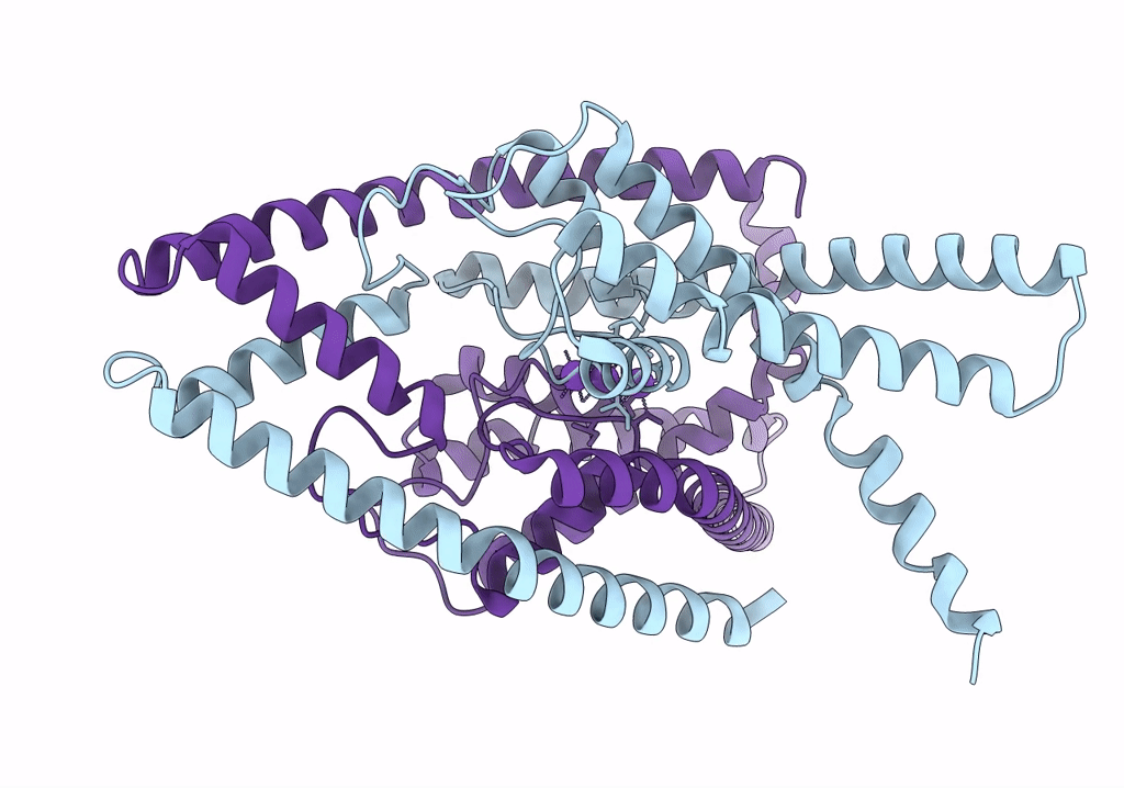 6WLV image