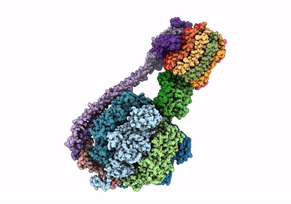 6WNR image