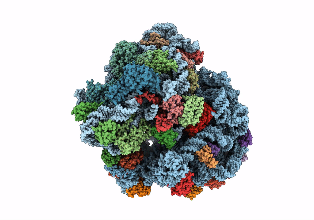 6WNV image