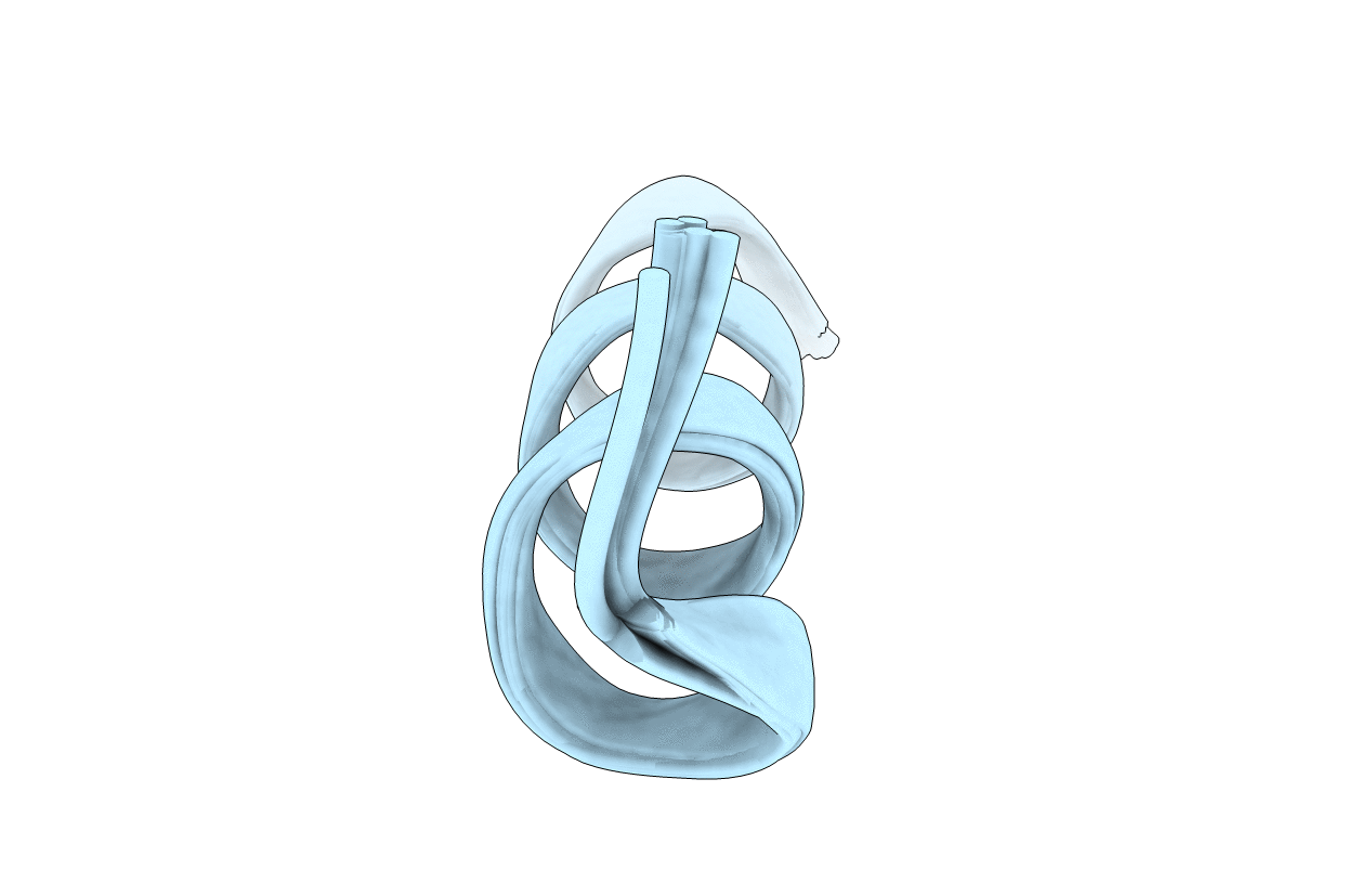 6WPD image