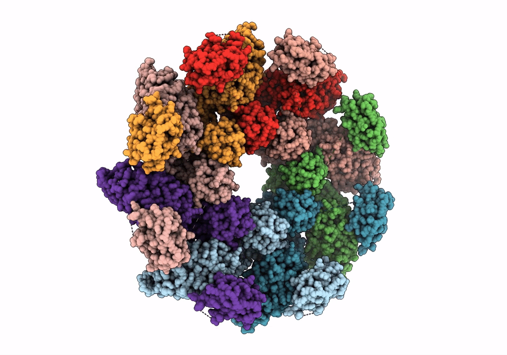 6WPK image