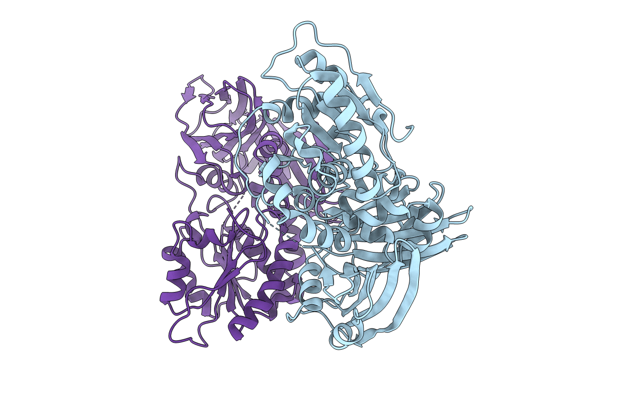 6WPX image