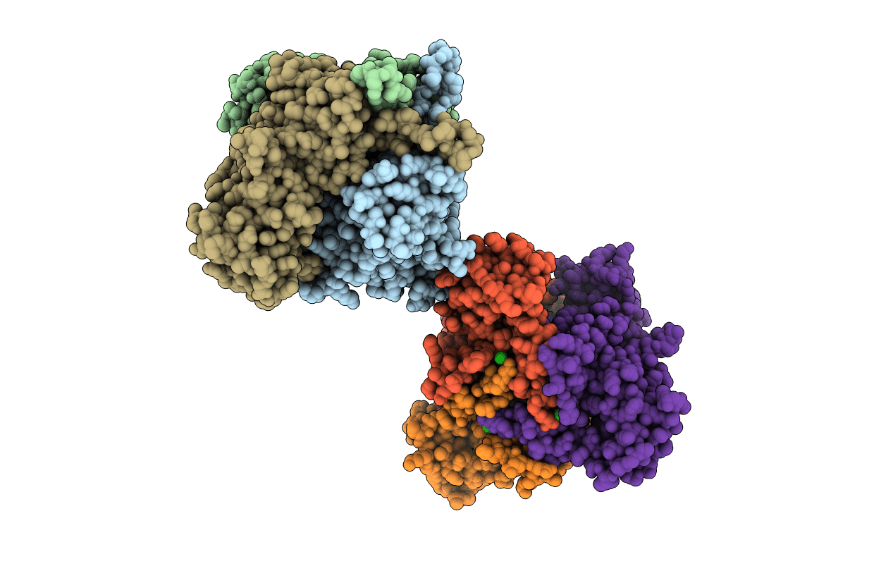 6WQM image