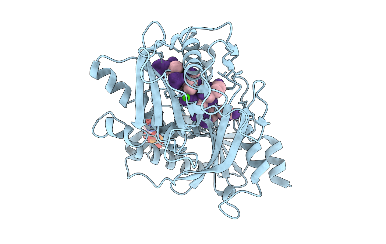 6WRE image
