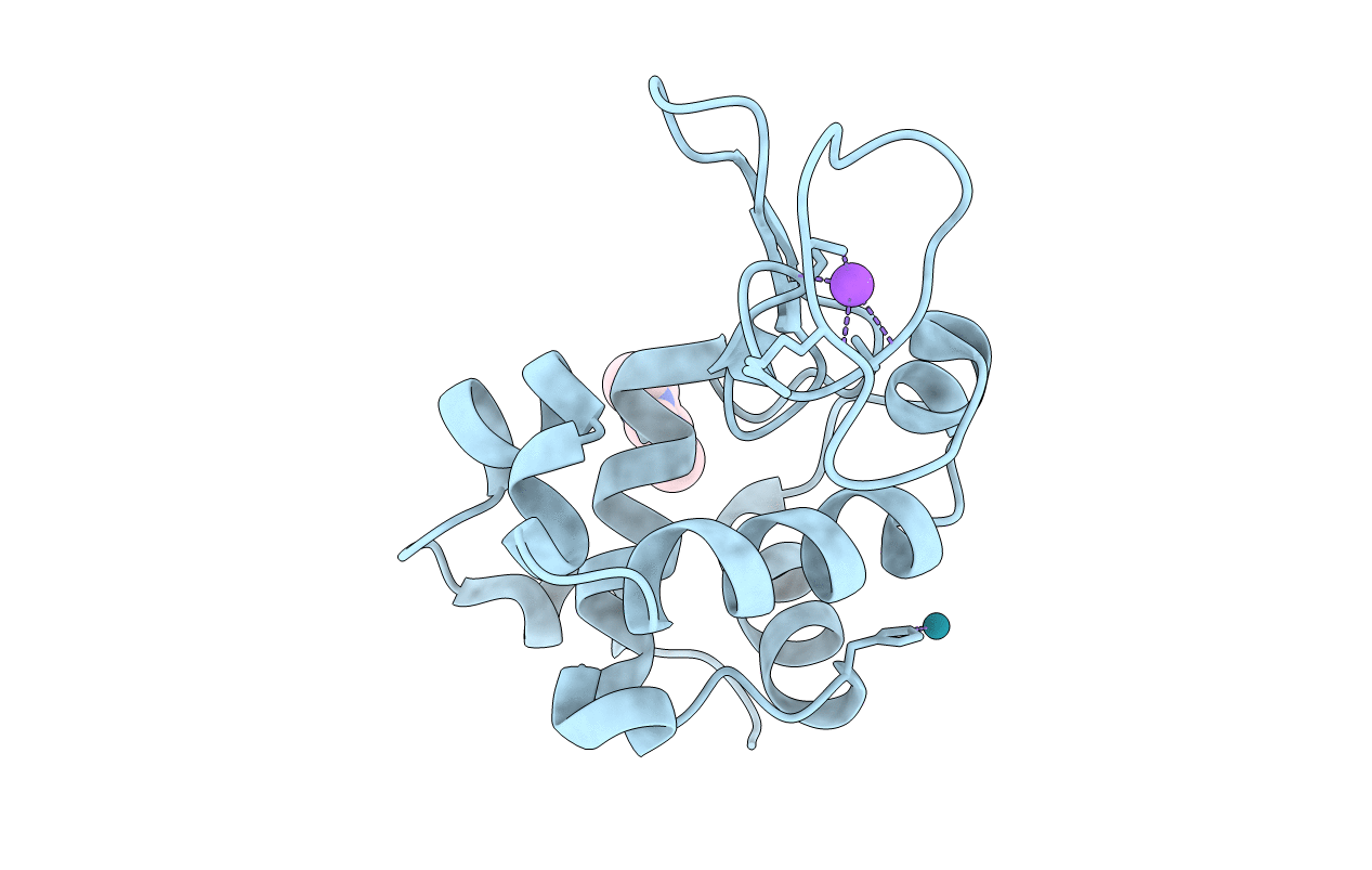 6WRM image