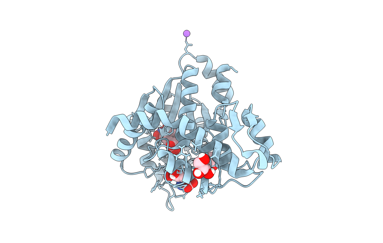 6WRQ image