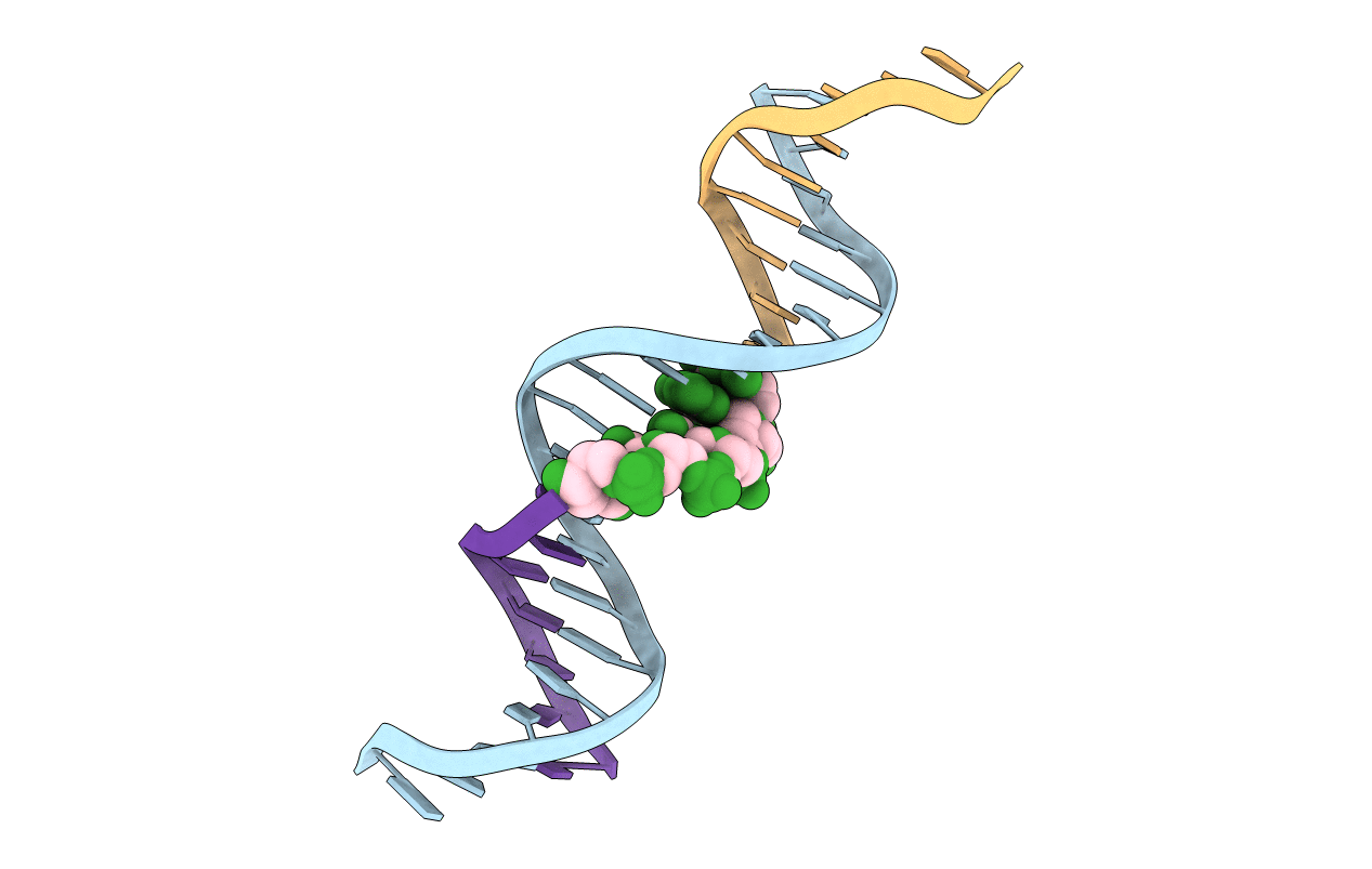 6WSS image