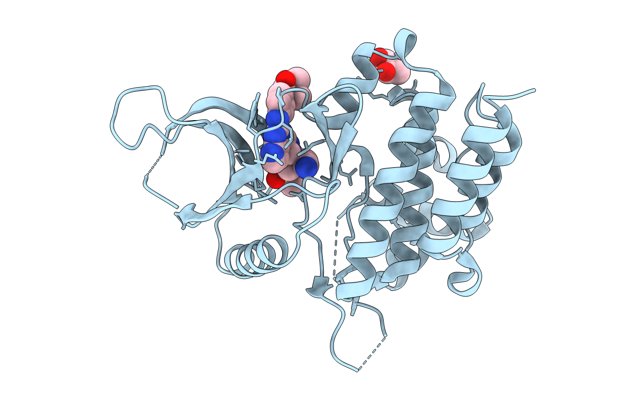 6WTP image