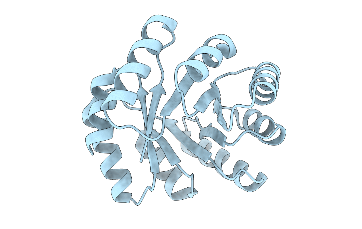 6WVS image