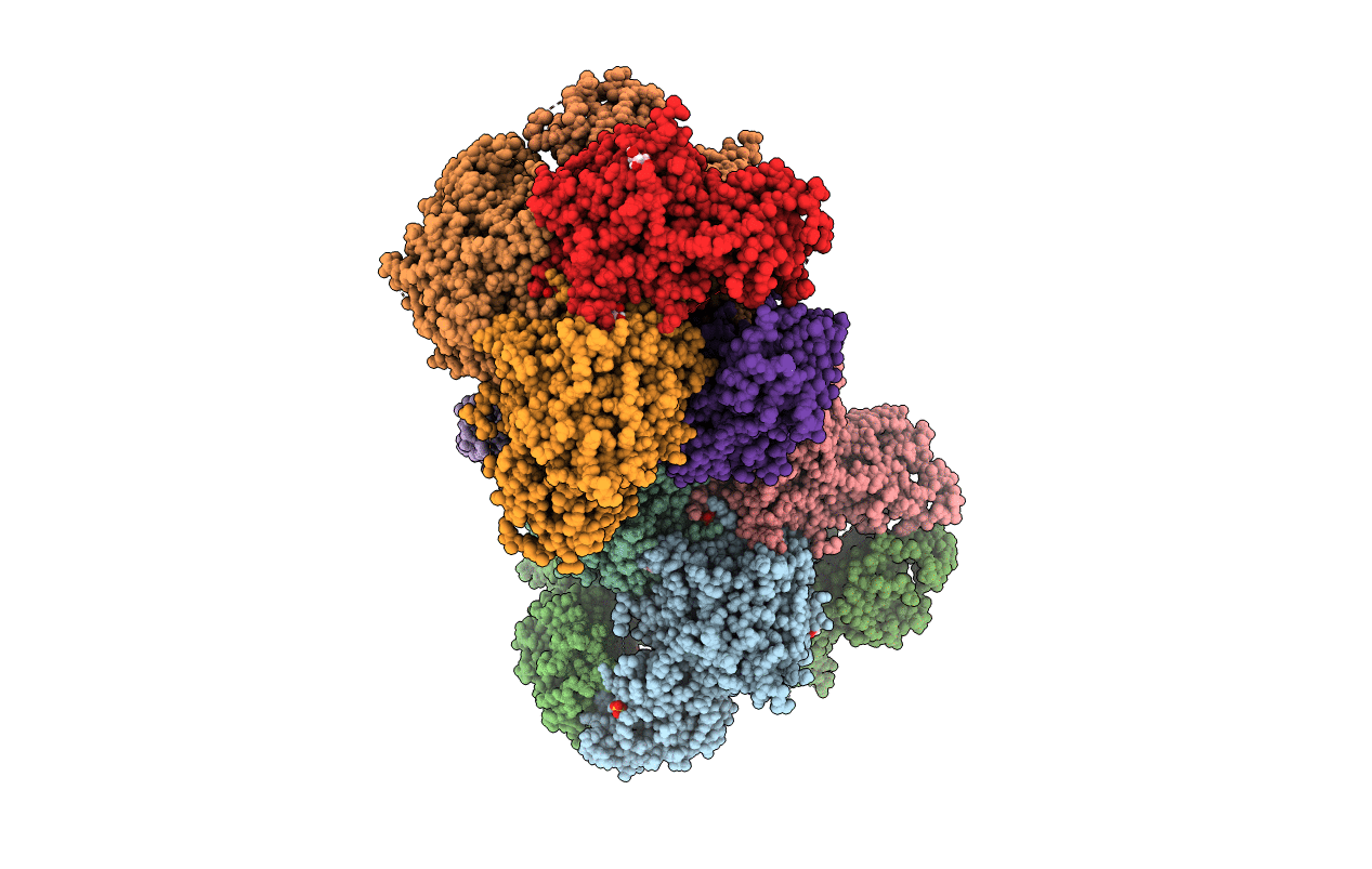6WVV image