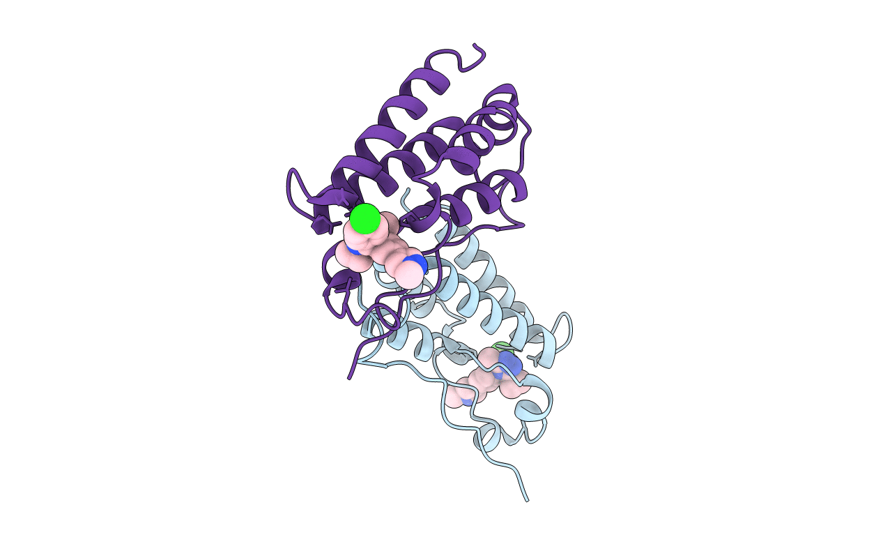 6WVX image