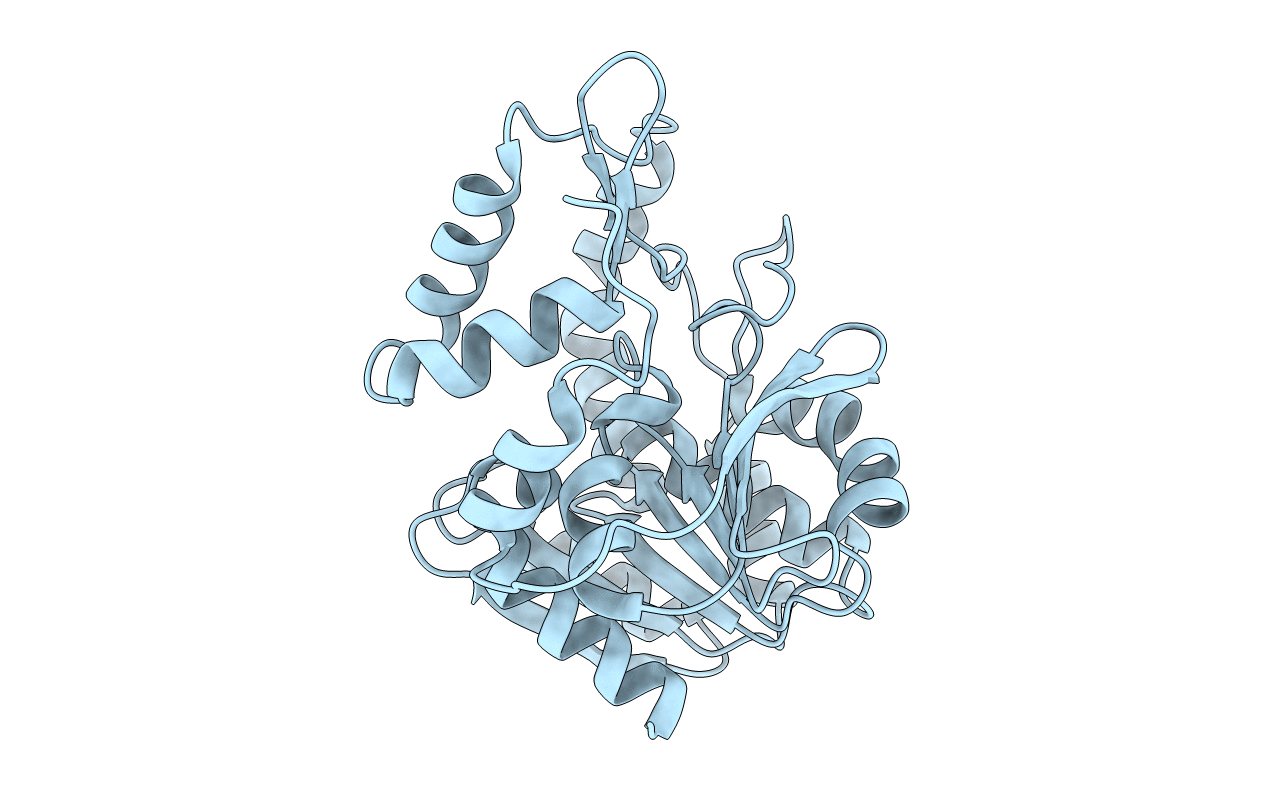 6WYN image