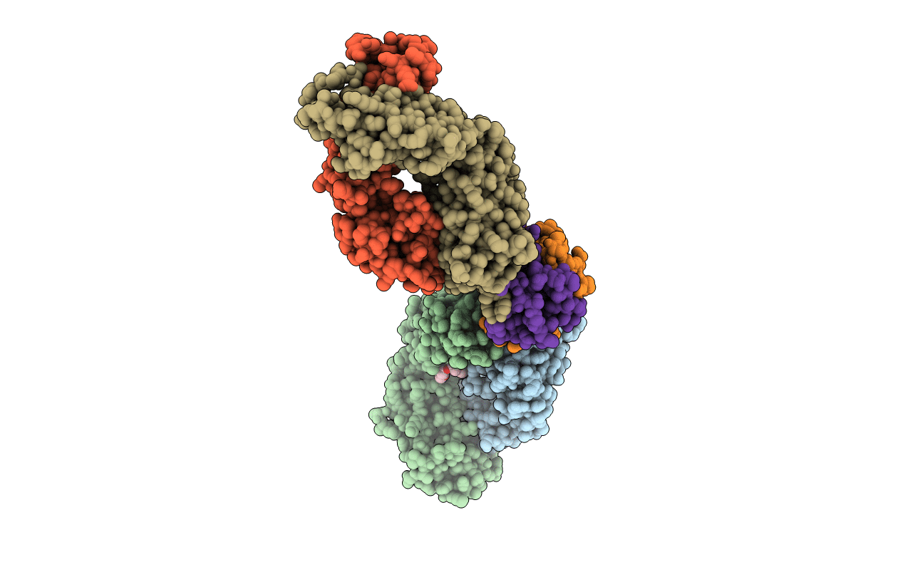 6WZL image