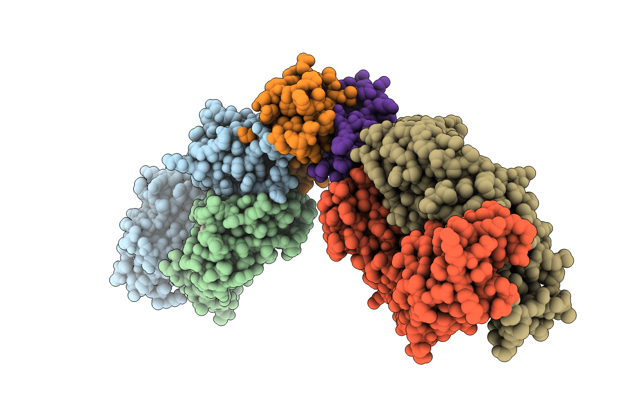 6WZM image