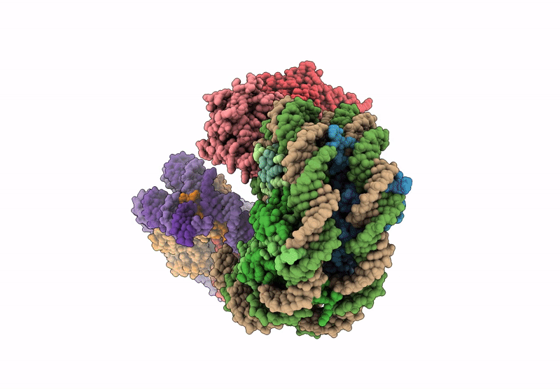 6X0N image