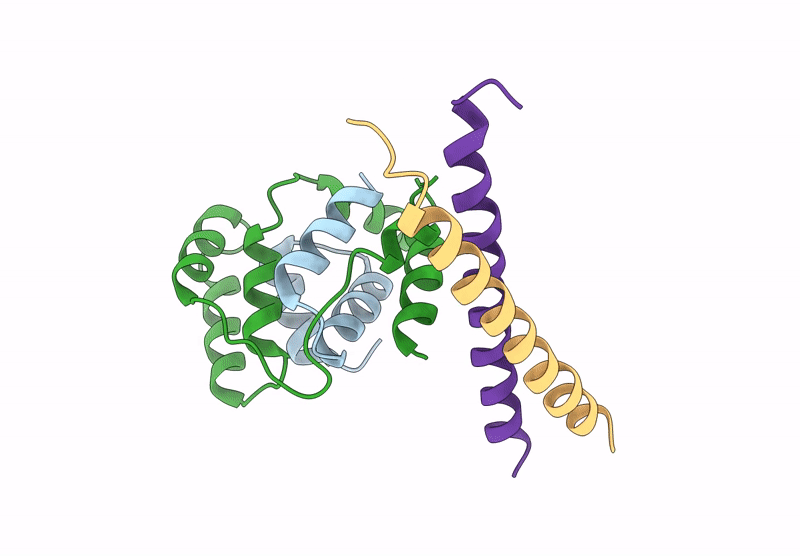 6X0V image