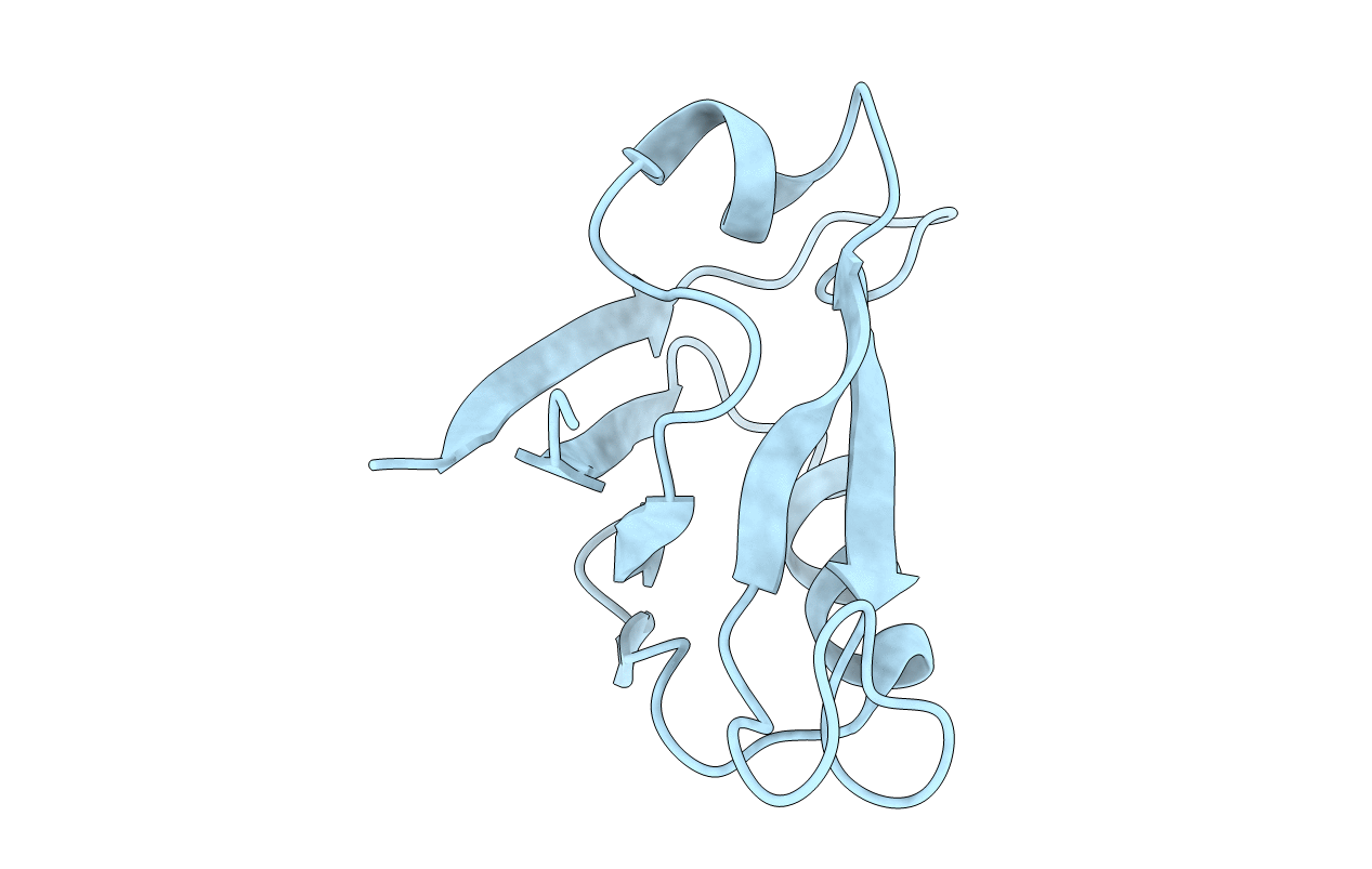 6X1P image