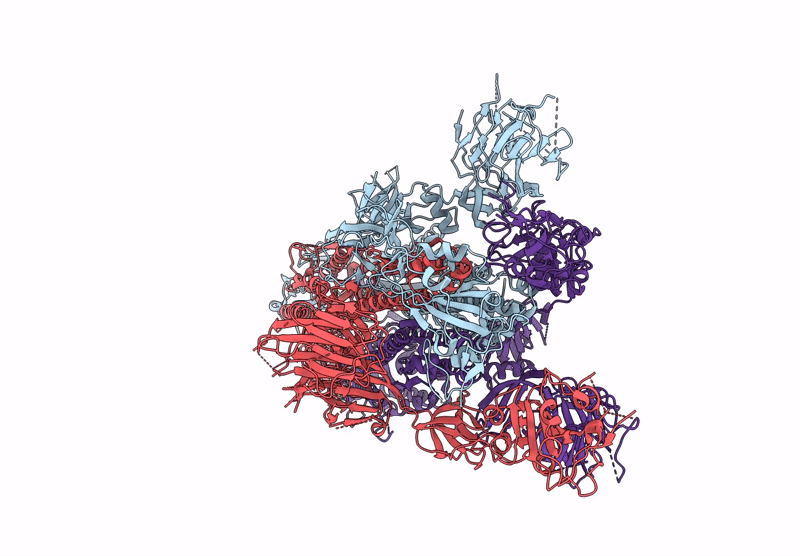 6X2A image