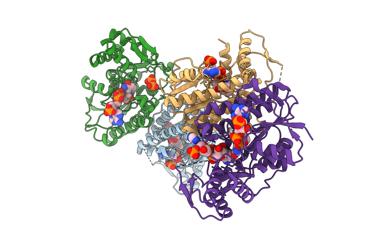 6X3B image