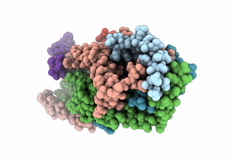6X4S image