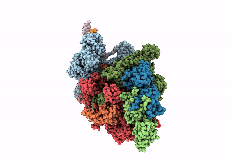 6X4W image