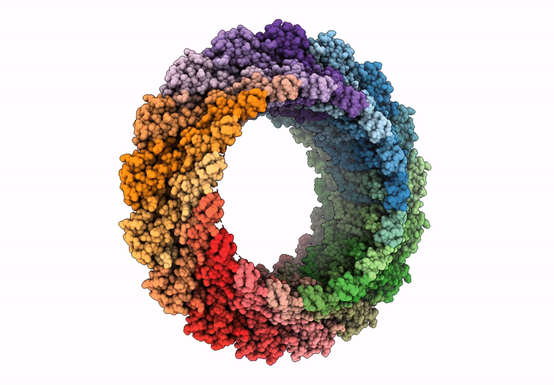 6X6L image