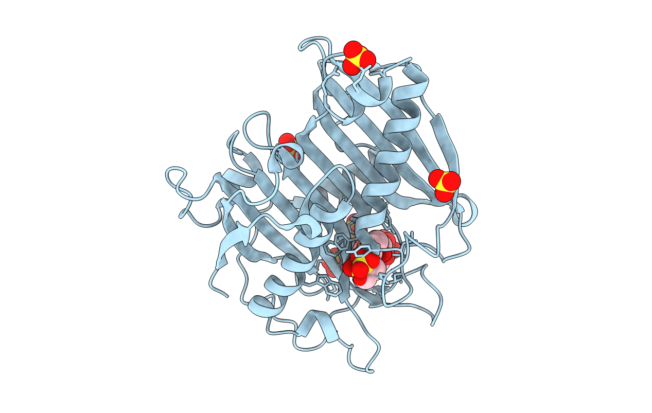 6X7P image