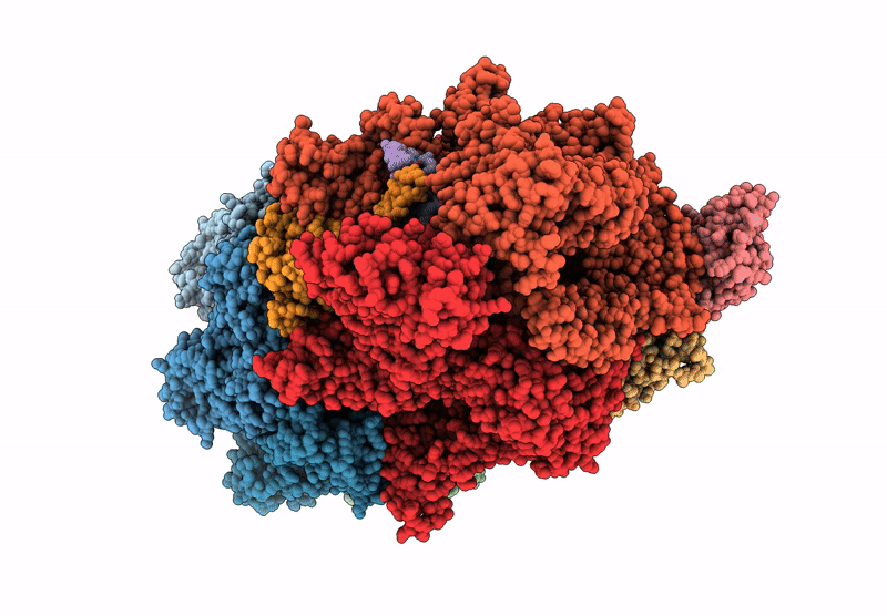 6XAV image