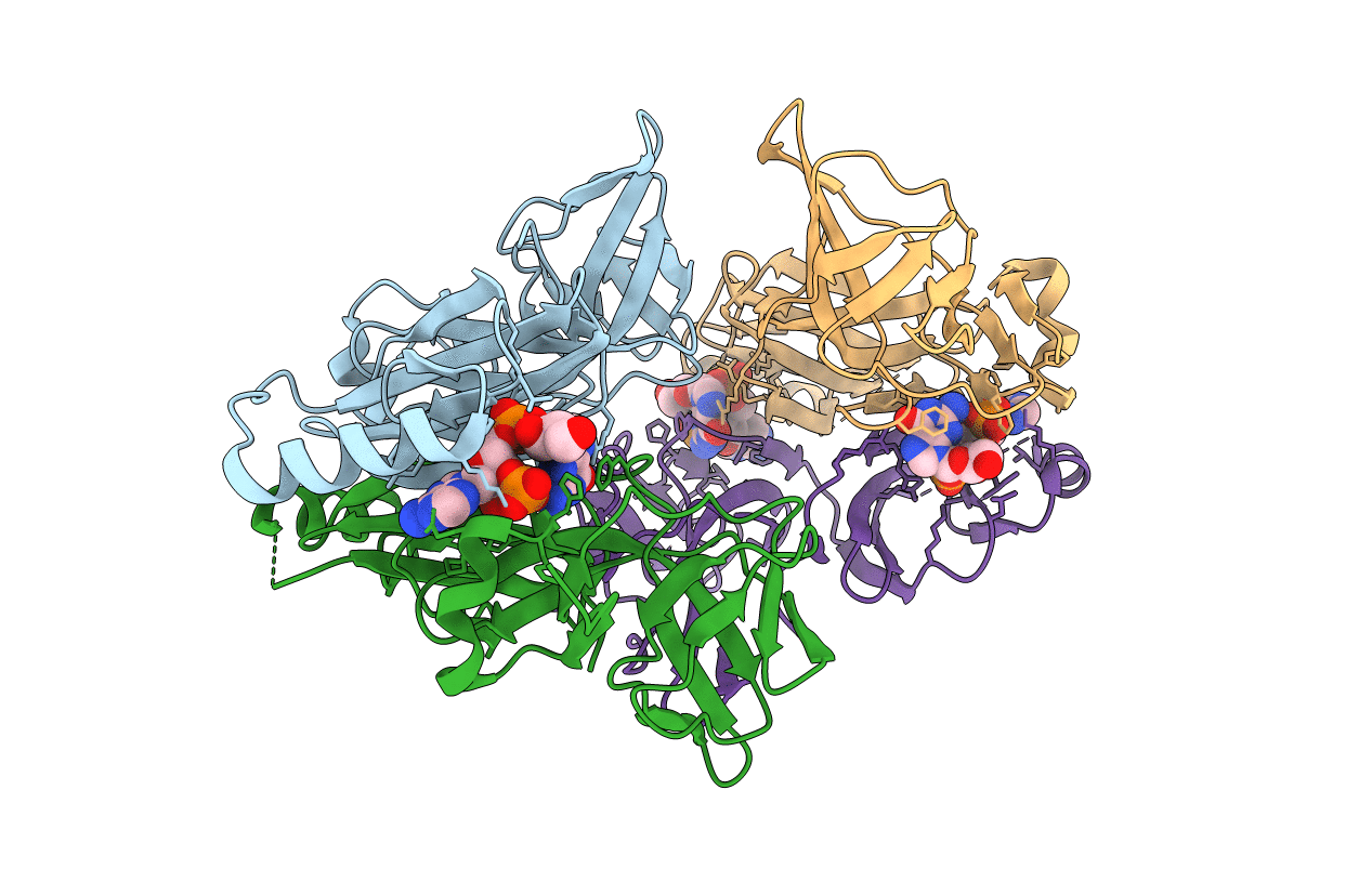 6XB4 image