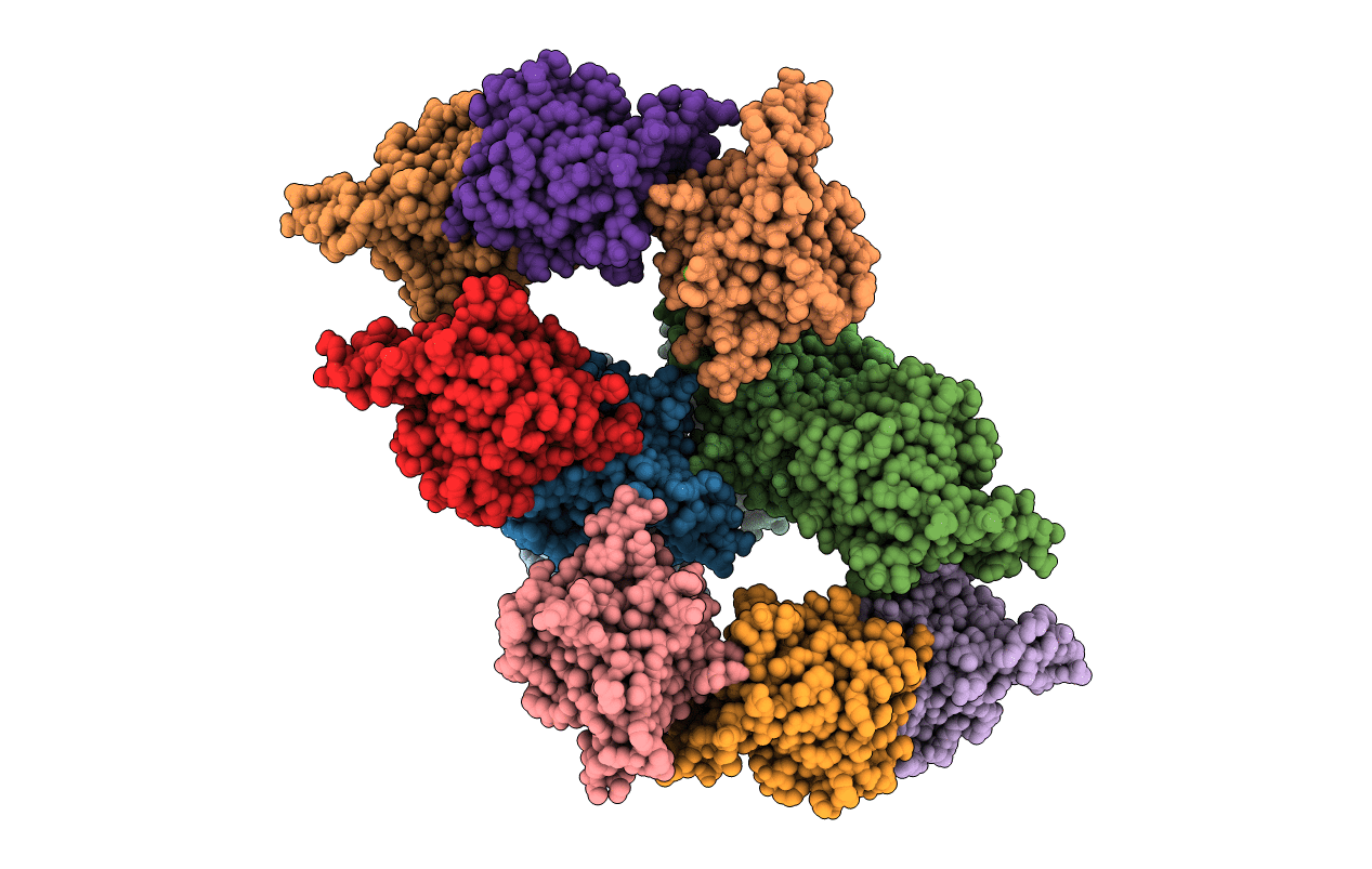 6XB9 image