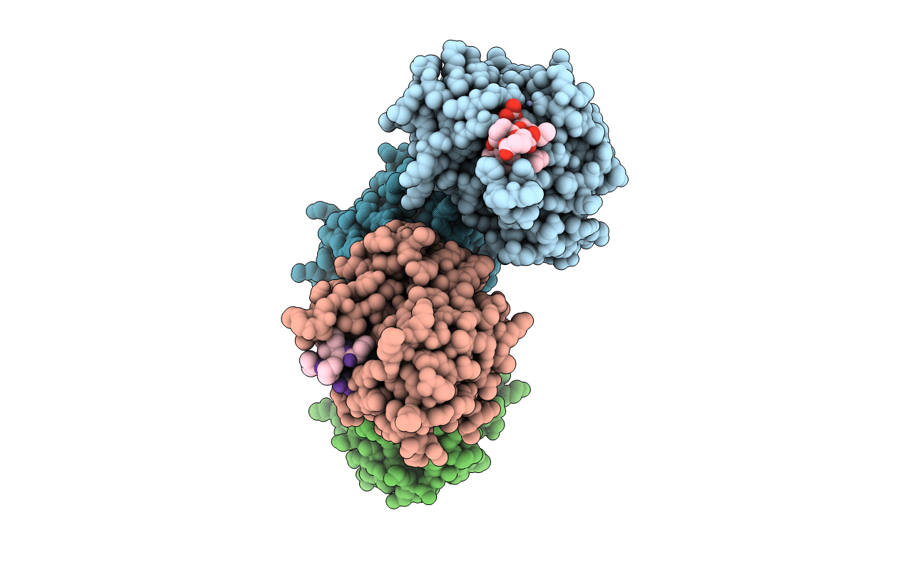 6XBF image