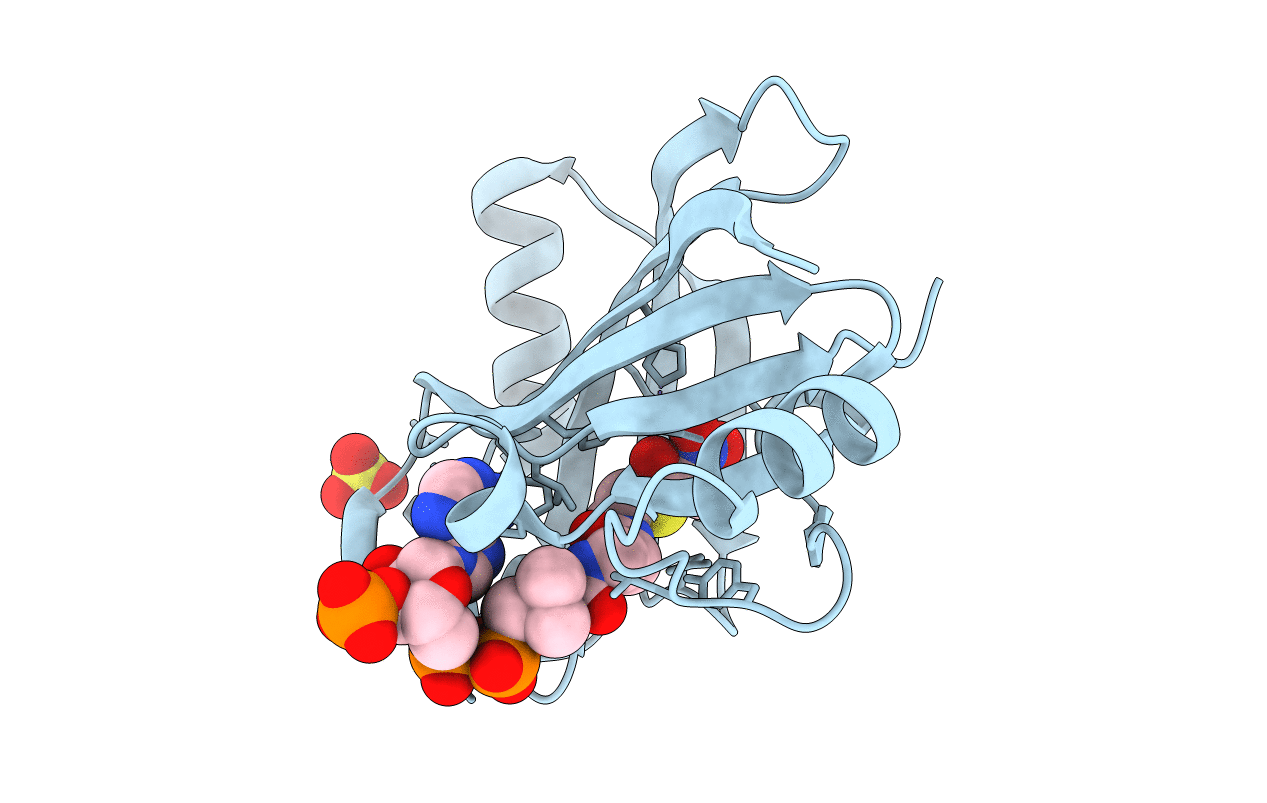 6XBS image